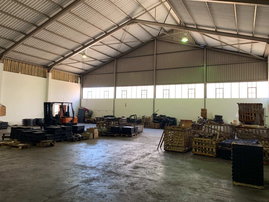 To Let commercial Property for Rent in Epping Industrial Western Cape